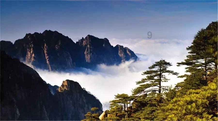 贵州医药卫生领域代表委员话心声（一）