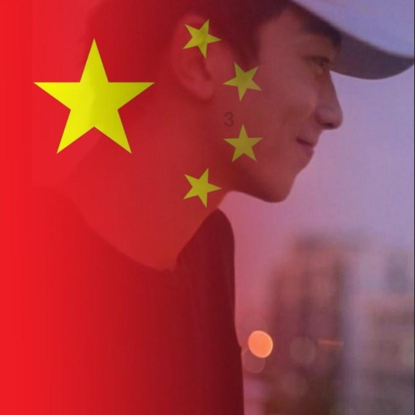 临洮公安救助一只国家二级保护动物丘鹬