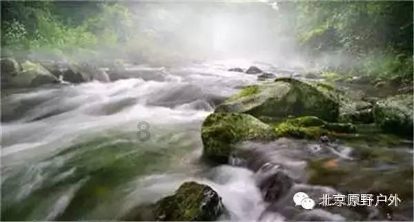 万词王