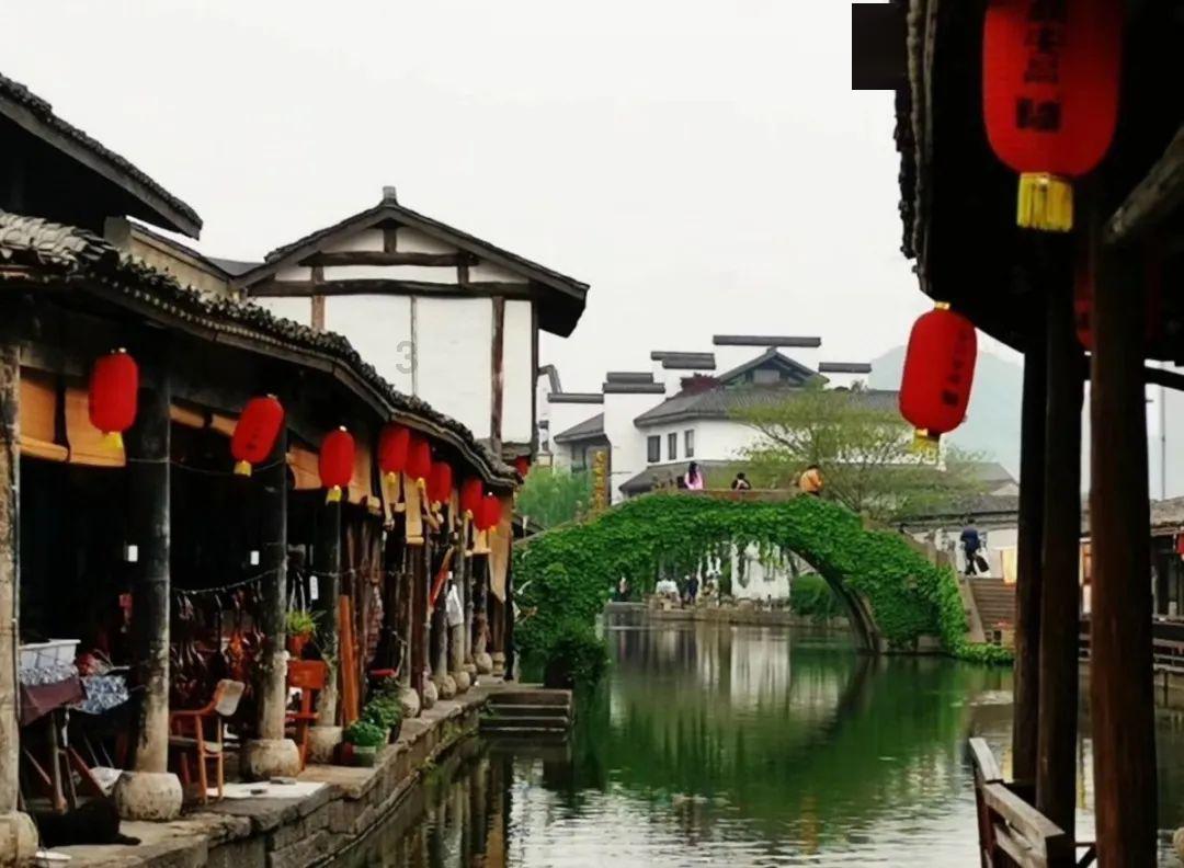 大学生在不开火的条件下如何自己做营养价廉的美食?游戏画面