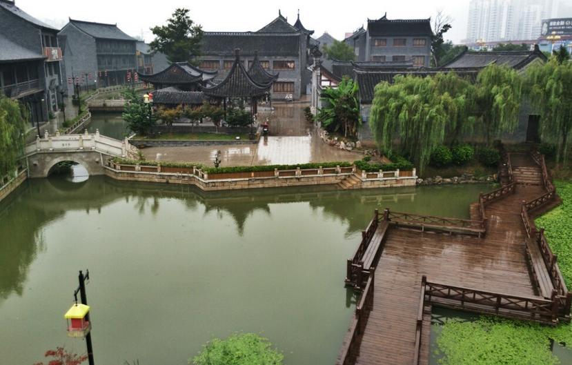 悲伤兔大冒险