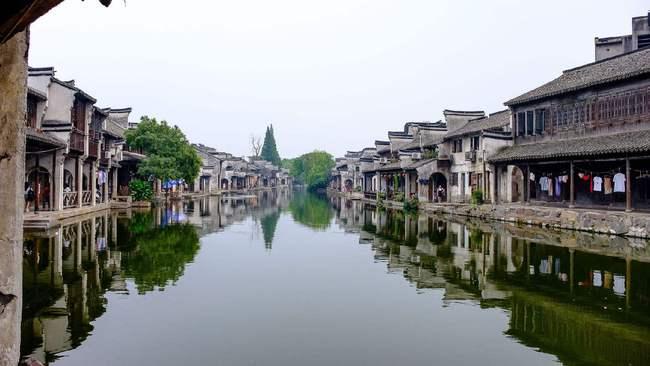 动物帮帮忙保卫家园