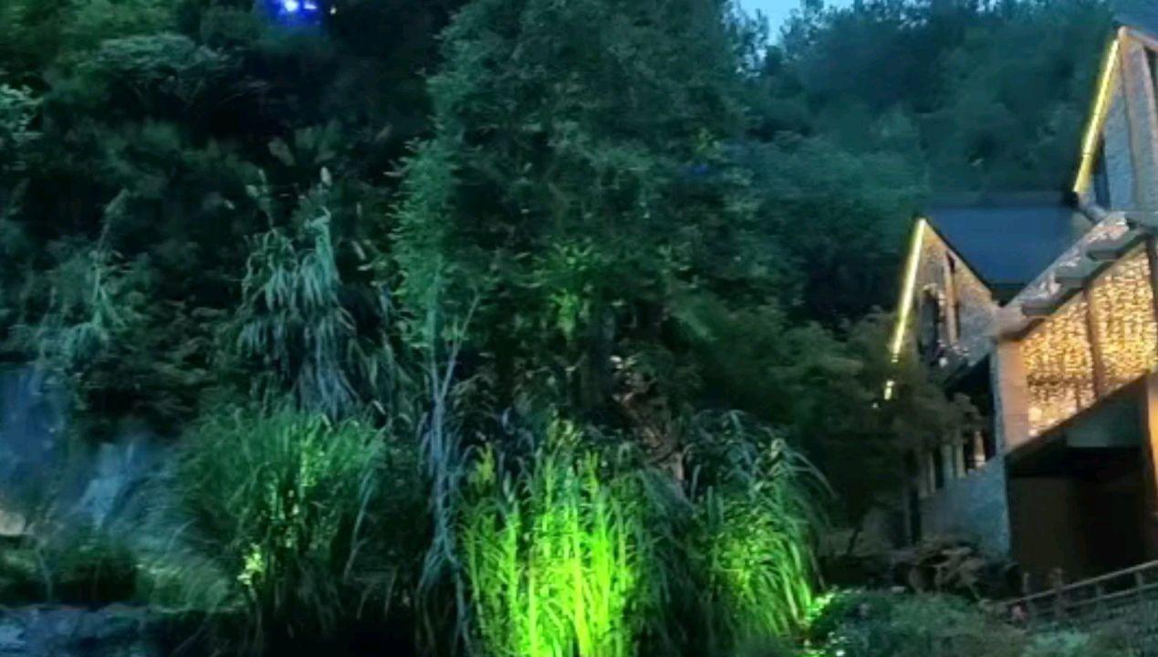 吃水果的蛇